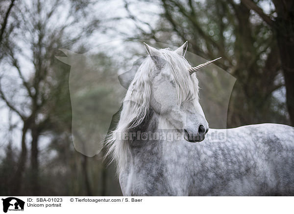 Einhorn Portrait / Unicorn portrait / SBA-01023