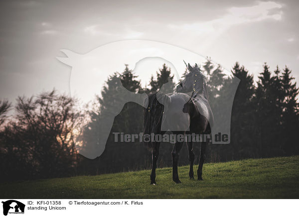 stehendes Einhorn / standing Unicorn / KFI-01358