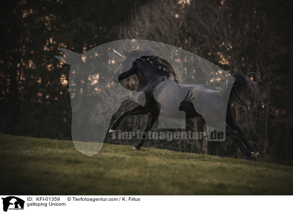 galloping Unicorn / KFI-01359