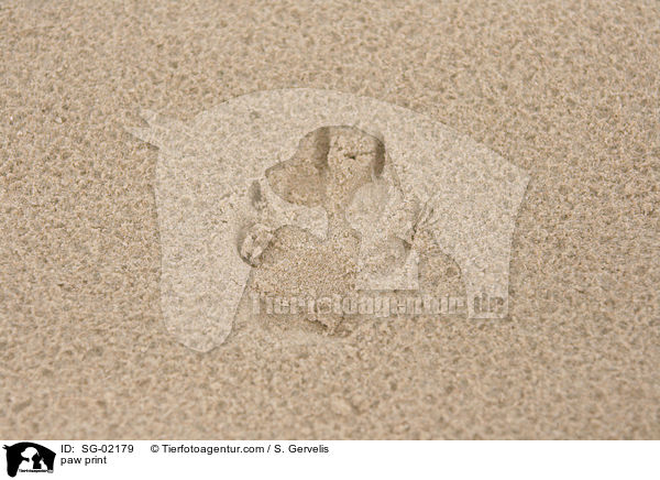 Pfotenabdruck / paw print / SG-02179