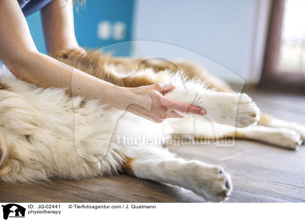 Physiotherapie / physiotherapy / JQ-02441