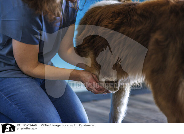 Physiotherapie / physiotherapy / JQ-02446