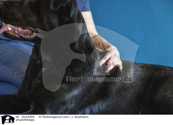 physiotherapy / JQ-02454