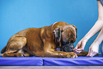 physiotherapy