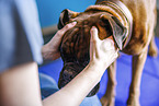 physiotherapy