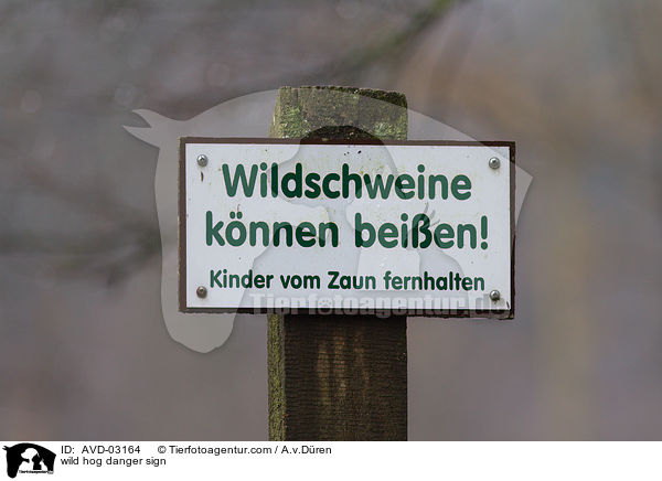 Warnschild Wildschwein / wild hog danger sign / AVD-03164
