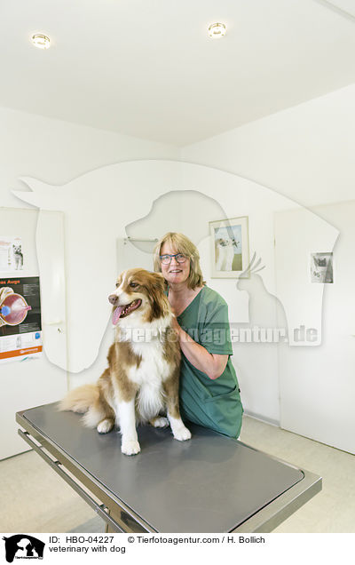 Tierrztin mit Hund / veterinary with dog / HBO-04227