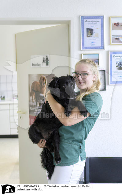 Tierrztin mit Hund / veterinary with dog / HBO-04242