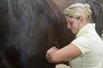 veterinarian sounds horse