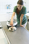 veterinary with rats