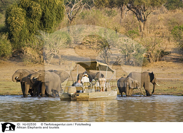 Afrikanische Elefanten und Touristen / African Elephants and tourists / HJ-02530