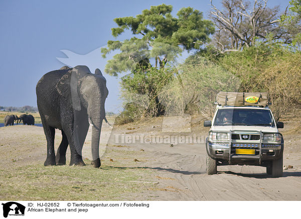 Afrikanischer Elefant und Jeep / African Elephant and jeep / HJ-02652