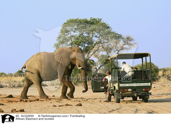 Afrikanischer Elefant und Touristen / African Elephant and tourists / HJ-02655
