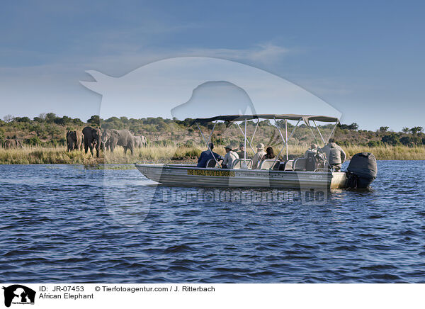Afrikanischer Elefant / African Elephant / JR-07453