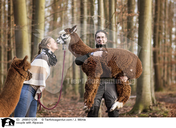 couple with Alpacas / JAM-01236