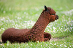 alpaca