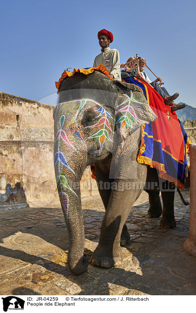 Menschen reiten auf Elefant / People ride Elephant / JR-04259
