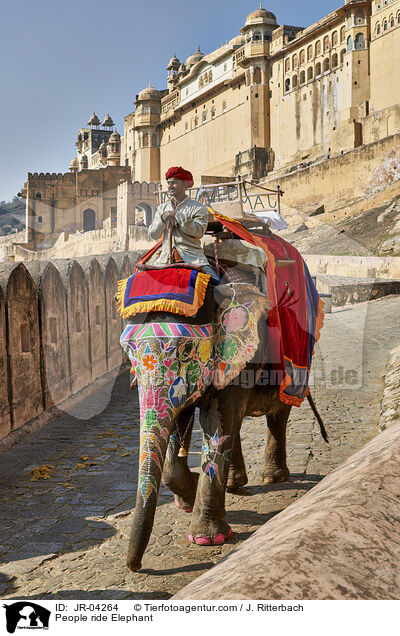 Menschen reiten auf Elefant / People ride Elephant / JR-04264