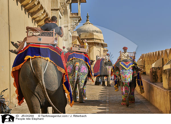 Menschen reiten auf Elefant / People ride Elephant / JR-04268