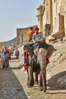 People ride Elephant