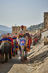 People ride Elephant