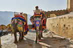 People ride Elephant