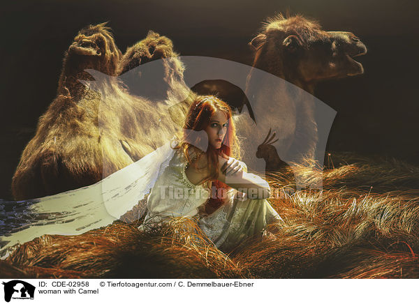 woman with Camel / CDE-02958