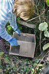 European Hedgehog house