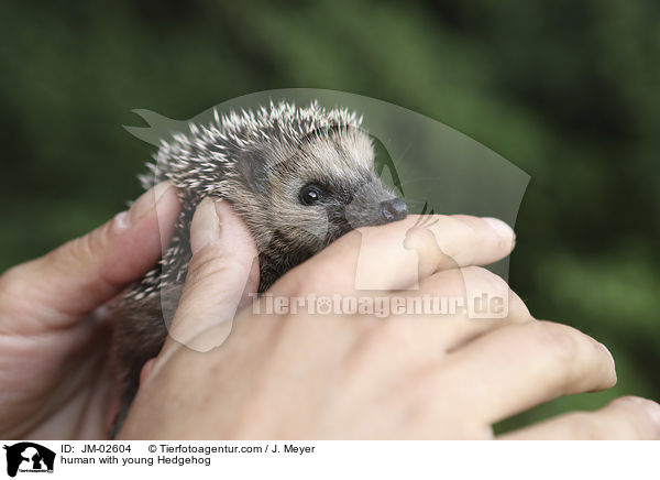 Mensch mit jungem Igel / human with young Hedgehog / JM-02604