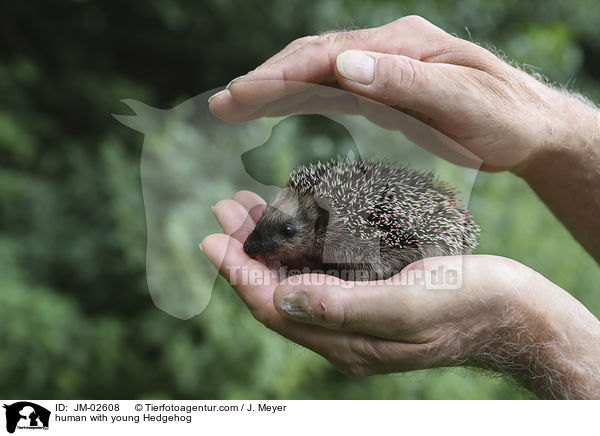 Mensch mit jungem Igel / human with young Hedgehog / JM-02608