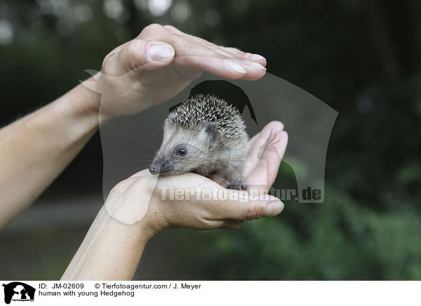 Mensch mit jungem Igel / human with young Hedgehog / JM-02609