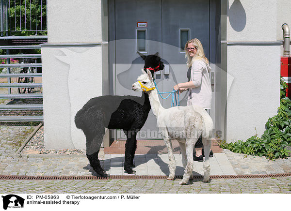 tiergesttzte Therapie / animal-assisted therapy / PM-05863