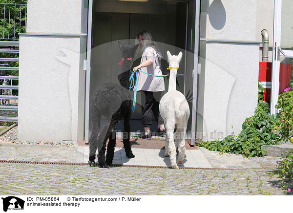 tiergesttzte Therapie / animal-assisted therapy / PM-05864