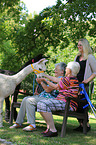 animal-assisted therapy