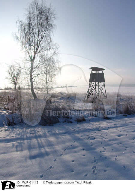 Hochsitz / deerstand / WJP-01112