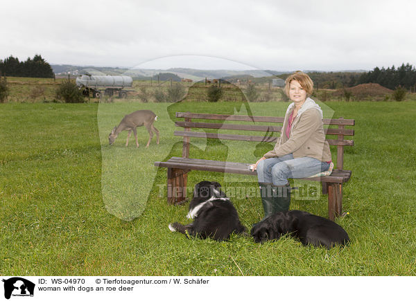 woman with dogs an roe deer / WS-04970