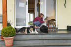 woman with dogs and roe deer